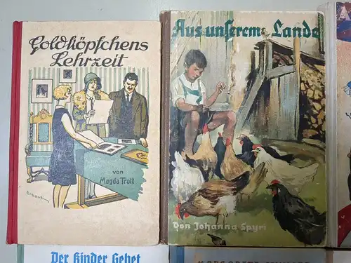 12 Mädchenbücher: Nesthäkchen, Goldköpfchen, Lebensglück, Pommerle, Lori ...