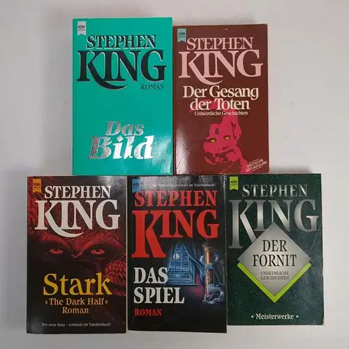 5 Bücher Stephen King: Das Bild; Der Fornit; Das Spiel; Stark; Gesang der Toten