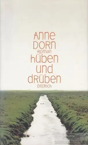 Buch: hüben und drüben, Dorn, Anne. 2013, Dittrich Verlag, Roman, gebraucht, gut