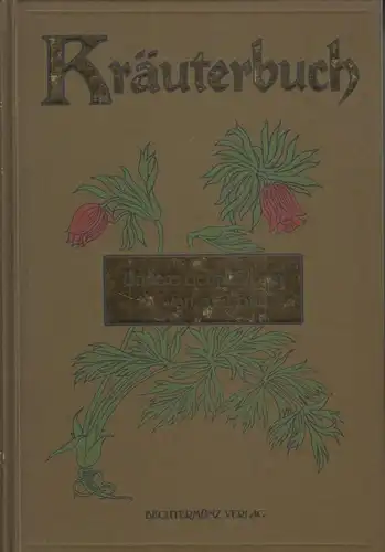 Buch: Kräuterbuch, Losch, Dr. Fr. 1997, Bechtermünz Verlag, gebraucht, gut