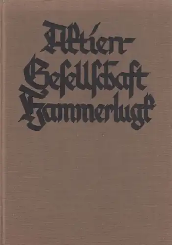 Buch: Aktien-Gesellschaft Hammerlugk, Schröder, Karl. 1928, Erzählung