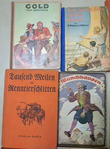 19 Bücher Jugend Abenteuerbücher: Seeräuber, Wildtöter, Pfadfinder, Mohikaner...