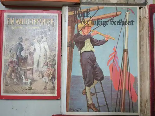19 Bücher Jugend Abenteuerbücher: Seeräuber, Wildtöter, Pfadfinder, Mohikaner...