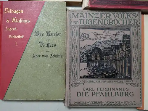 19 Bücher Jugend Abenteuerbücher: Seeräuber, Wildtöter, Pfadfinder, Mohikaner...