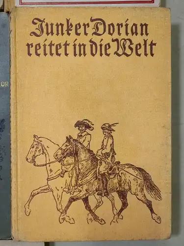 19 Bücher Jugend Abenteuerbücher: Seeräuber, Wildtöter, Pfadfinder, Mohikaner...