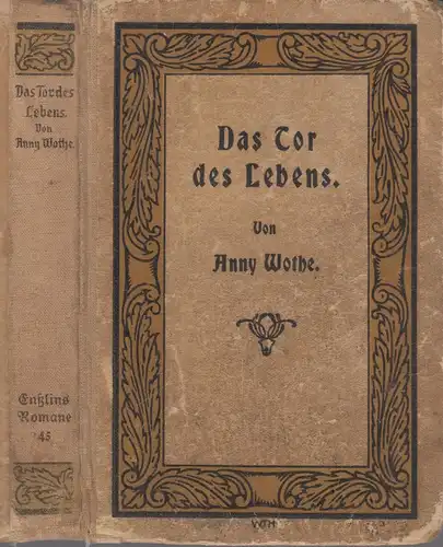Buch: Das Tor des Lebens, Wothe, Anny, 1919, Enßlin & Laiblin, Studentenroman