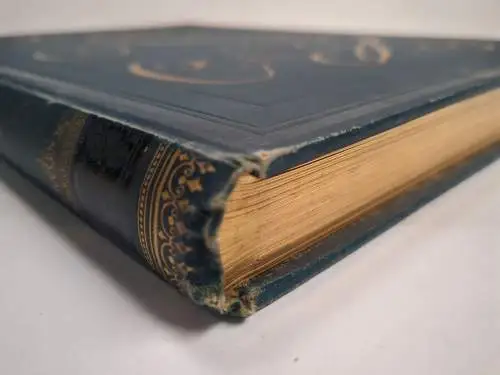 Buch: La Bella Napoli, C. W. Allers, 1893, Union Deutsche Verlagsgesellschaft