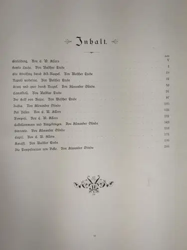 Buch: La Bella Napoli, C. W. Allers, 1893, Union Deutsche Verlagsgesellschaft