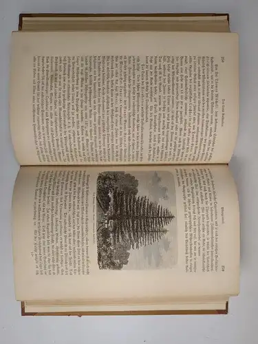 Buch: Australien, Fr. Christmann / Richard Oberländer, 1880, Verlag Otto Spamer