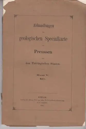 Buch: Die geologischen Verhältnisse der Stadt Hildesheim, Roemer, Hermann. 1883