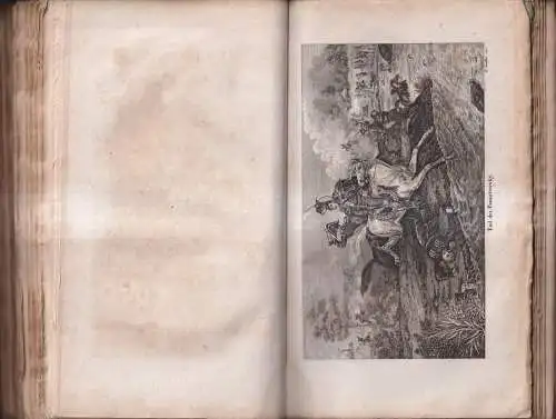 Buch: Polen und seine Helden im letzten Freiheits-Kampfe Band 1, Soltyk, 1834
