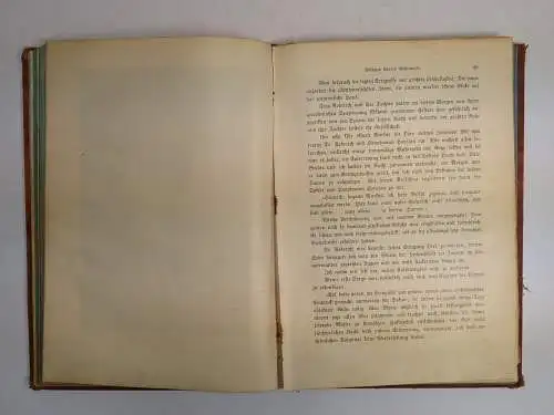 Buch: Wilhelm Storitz' Geheimnis, Jules Verne, 1911, A. Hartleben's Verlag