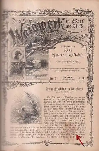 Das Weidwerk in Wort und Bild Band 9 Nr. 1-23 / 1899/1900, ohne Heft 15!