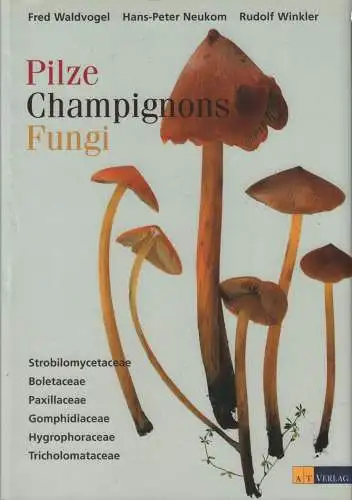 Buch: Pilze - Champignons - Fungi Band 1, Waldvogel, Fred u.a., 2001