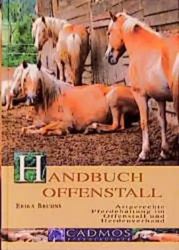 Buch: Handbuch Offenstall, Bruhns, Erika, 2000, Cadmos, gebraucht, sehr gut