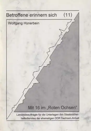 Buch: Betroffene erinnern sich 11: Mit 16 im Roten Ochsen, Hünerbein, Wolfgang