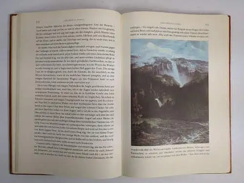 Buch: Hyacinth und Rosenblüt, Damm, Sigrid. 1984, Der Kinderbuchverlag, Leder