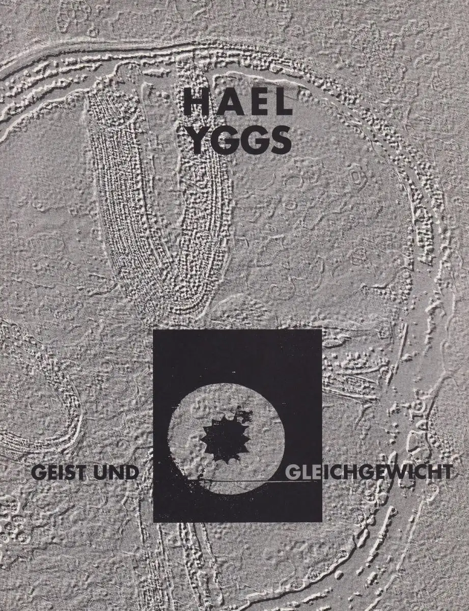 Buch: Hael Yggs: Geist und Gleichgewicht, 1993, gebraucht, sehr gut