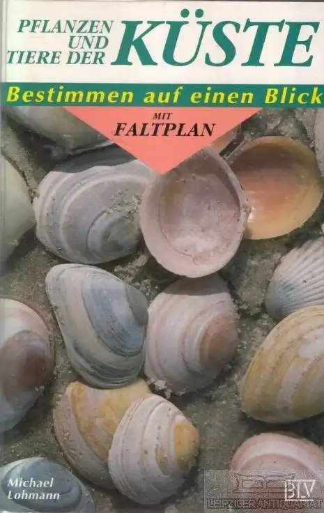 Buch: Pflanzen und Tiere der Küste, Lohmann, Michael. 1993, gebraucht, gut