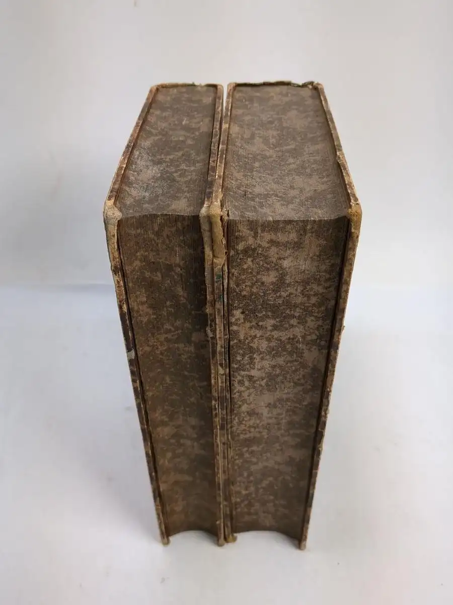 Buch: Lehrbuch der Weltgeschichte  in organischer Darstellung, H. Rückert, 1857