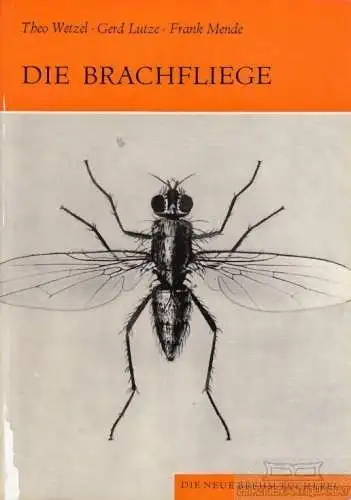 Buch: Die Brachfliege, Wetzel, Theo / Mende, Frank. Die Neue Brehm-Bücherei