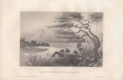 An der Mündung des Rio de las Lajas. aus Meyers Universum, Stahlstich. 1850