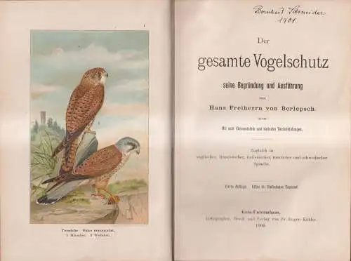 Buch: Der gesamte Vogelschutz, Hans Freiherrn von Berlepsch, 1900, Köhler