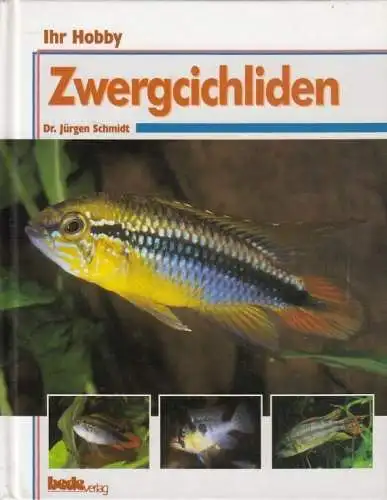 Buch: Zwergcichliden, Schmidt, Jürgen. 1997, bede-Verlag, gebraucht, gut