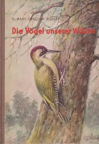 Buch: Die Vögel unserer Wälder, Müller, Hans Joachim, 1953, Der Kinderbuchverlag