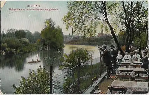 AK Dessau. Muldpartie vom Muldschlösschen aus gesehen. ca. 1908, Postkarte