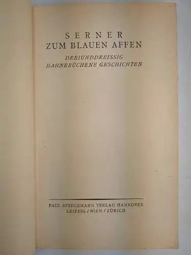 Buch: Zum blauen Affen, Serner, Walter, 1921, Paul Stegemann, Die Silbergäule