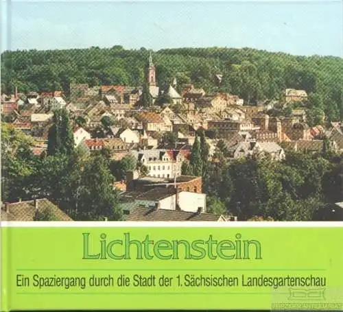 Buch: Lichtenstein, Fritzsch, Ilse / Reichel, Ina u.a. 1996, Geiger-Verlag
