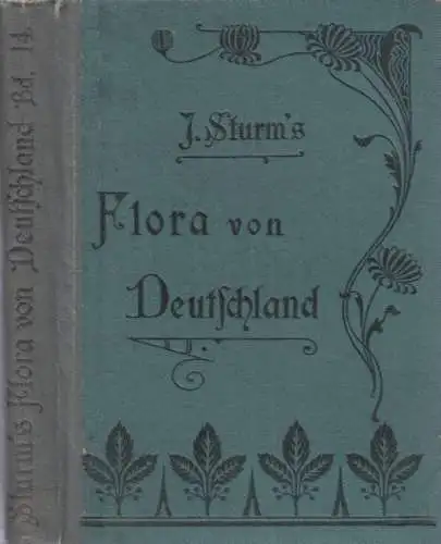 Buch: J. Sturms Flora von Deutschland, Band 14 - Haufenblütige. 1901, Lutz