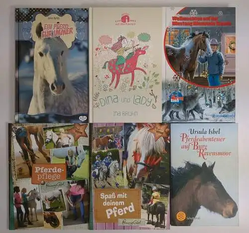 27 Kinderbücher Pferde: Zauberpferde, Die Pferdeflüsterin, Penny Girl Reitschule