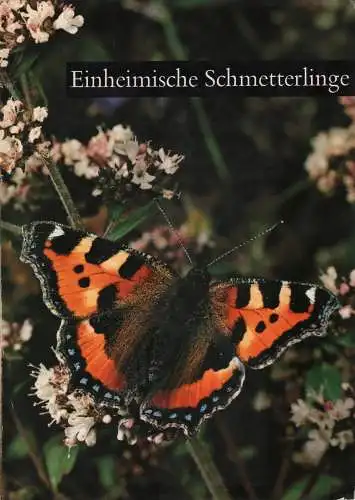 Buch: Einheimische Schmetterlinge, Danesch, Edeltraud, 1968, gebraucht, sehr gut