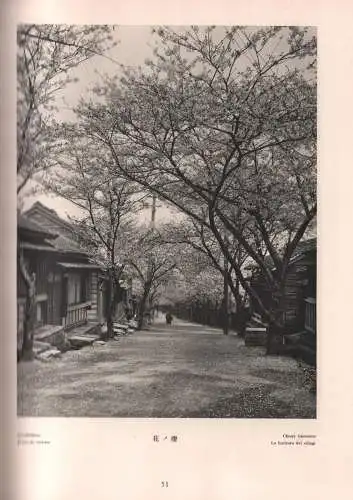 Buch: Japan, Trautz, F.M., 1930, Ernst-Wasmuth-Verlag, Orbis Terrarum