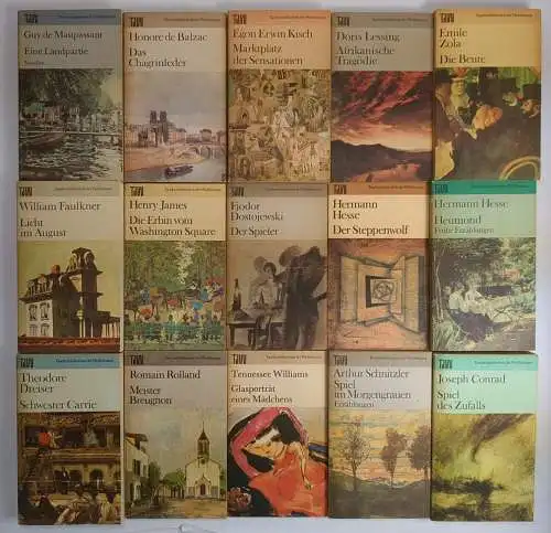 40 Bücher TdW Taschenbuch der Weltliteratur, Volk & Welt, Baldwin, Hesse, Mann