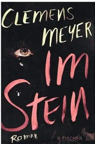 Buch: Im Stein, Meyer, Clemens. 2013, S. Fischer Verlag, Roman, gebraucht, gut