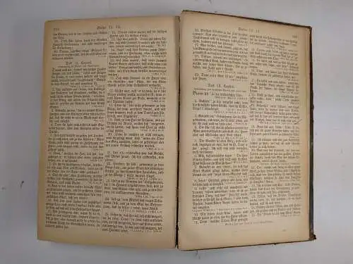 Biblia: Die Bibel oder die ganze Heilige Schrift, Martin Luther, 1868, Reichard