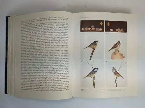 Buch: Die Vögel Mitteleuropas Band I-III, Heinroth, Oskar u.a., 1926, Bermühler
