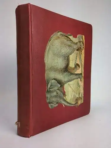 Buch: Sammlung von 60 Tierdarstellungen zumeist farbig, gebraucht, gut