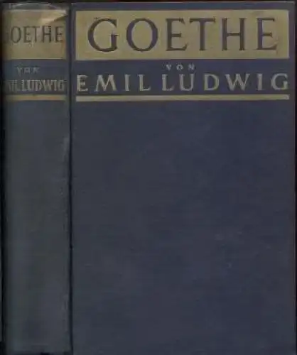 Buch: Goethe, Ludwig, Emil. 1931, Paul Zsolnay Verlag, Geschichte eines Me 20826