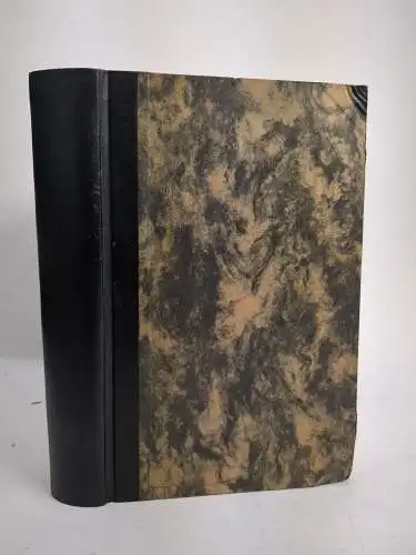 Buch: Die Slawen in Deutschland, Tetzner, Franz, 1902, Friedrich Vieweg und Sohn