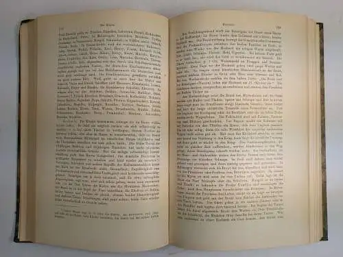 Buch: Die Slawen in Deutschland, Tetzner, Franz, 1902, Friedrich Vieweg und Sohn