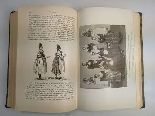 Buch: Die Slawen in Deutschland, Tetzner, Franz, 1902, Friedrich Vieweg und Sohn