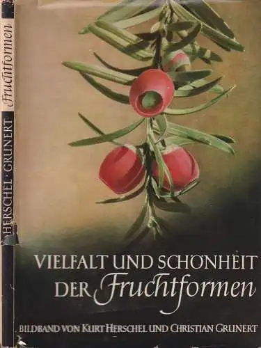 Buch: Vielfalt und Schönheit der Fruchtformen, Herschel. 1958, A. Ziemsen Verlag