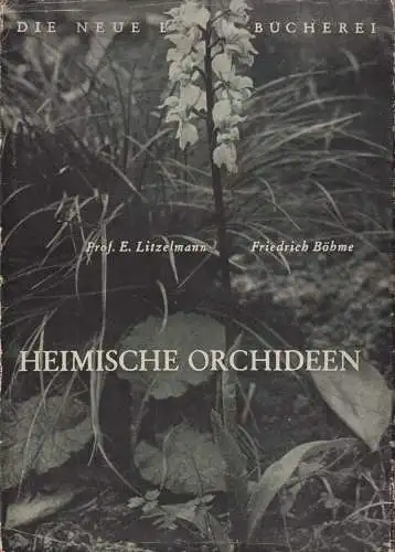 Buch: Heimische Orchideen. Litzelmann / Böhme, Die Neue Brehm-Bücherei, Ziemsen