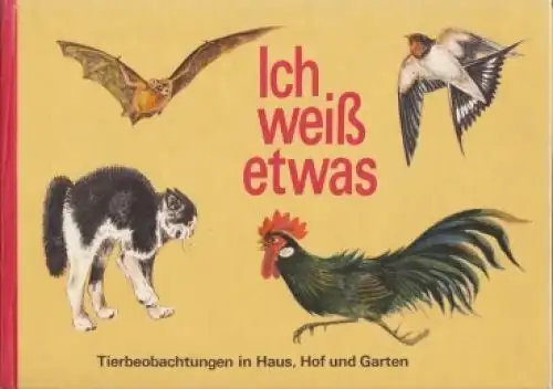 Buch: Ich weiß etwas, Schulz, Waldemar. 1985, Der Kinderbuchverlag