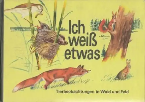 Buch: Ich weiß etwas, Schulz, Waldemar. Ca. 1986, Der Kinderbuchverlag