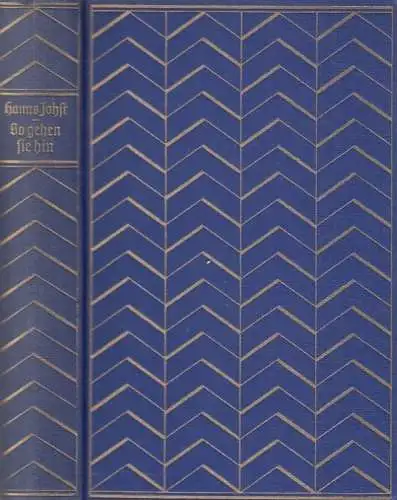 Buch: So gehen sie hin, Johst, Hanns. 1930, Deutsche Hausbücherei, gebraucht gut